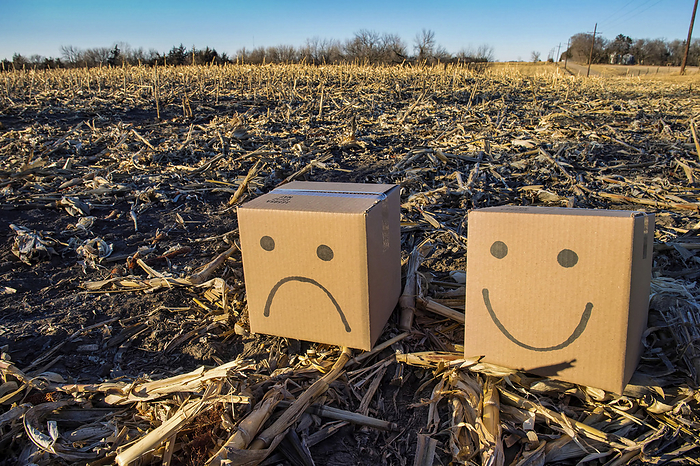 Happy and a sad box head sit in a rural corn field; Lincoln, Nebraska, United States of America, by Joel Sartore Photography / Design Pics