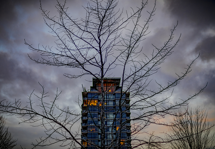 View through bare tree branches of apartment building at twilight with a dark sky; Vancouver, British Columbia, Canada, by Lorna Rande / Design Pics