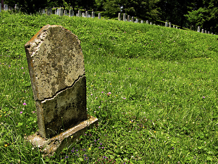 Old tombstone cracked in half, standing apart from others on a grassy hillside, by Amy D. White / Design Pics