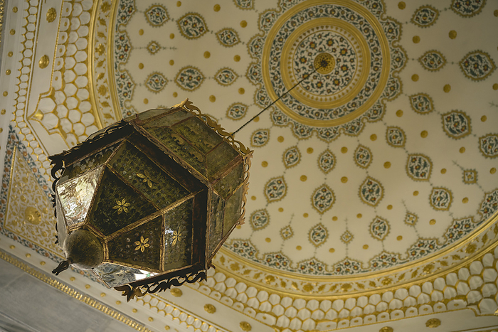 Ornate ceiling and light fixture in Topkapi Palace; Istanbul, Turkey, by Dosfotos / Design Pics