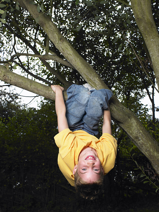 Boy Playing in Tree, by Masterfile / Design Pics