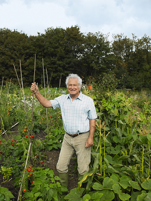 Mature Man in Vegetable Garden, by Masterfile / Design Pics