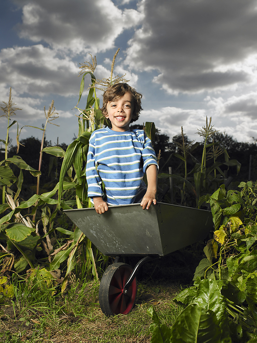 Portrait of Boy in Wheelbarrow, by Masterfile / Design Pics