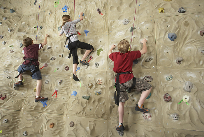 Children in Climbing Gym, by Masterfile / Design Pics