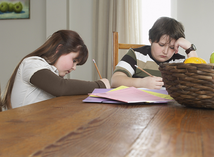 Children doing Homework at Kitchen Table, by Masterfile / Design Pics