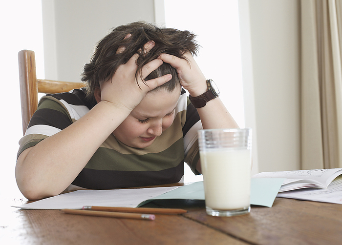 Boy Struggling with Homework, by Masterfile / Design Pics