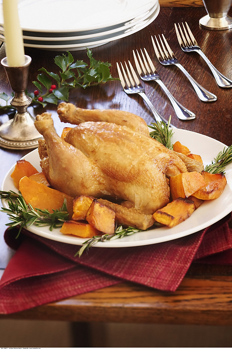 Chicken, Yams and Rosemary, by Alison Barnes Martin / Design Pics