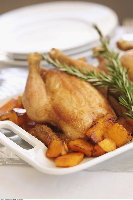 Chicken with Yams and Rosemary, by Alison Barnes Martin / Design Pics