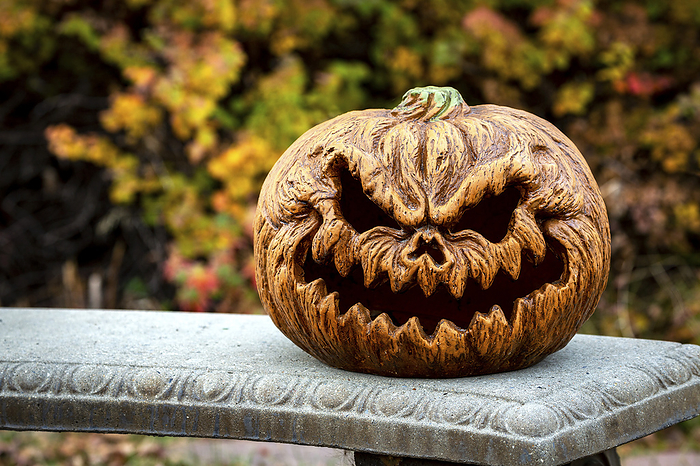 Decorative Jack-O-Lantern on top of a cement bench with colourful fall colours in the background; Calgary, Alberta, Canada, by Michael Interisano / Design Pics