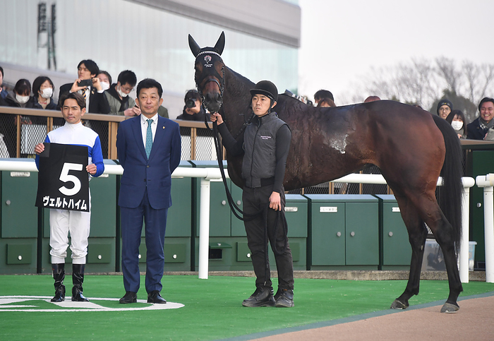 2024 Hibari Stakes Wertheim Winner February 10, 2024 Horse Racing Race 10R Hibari Stakes 1  5, Wertheim, Keita Tosaki, jockey Location Tokyo Racecourse