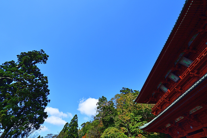 To the Holy Land Koyasan Daimon Wakayama Pref. The wind was blowing pleasantly through the air. I couldn t help but take a deep breath as I looked up. The white clouds flowing through the blue sky are close  This is Koyasan, the  holy place  in the sky.