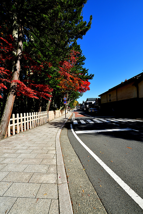 Sightseeing Tour: Journey to the Sacred Sites Koyasan Even as you stroll along the streets, you can feel the  four seasons . The sunlight is a light breeze, and the colors that are easy on the eyes are a gift from the clear weather. This is Koyasan.