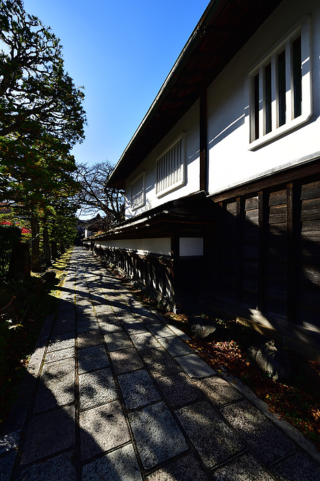 Sororo Walk: Journey to a Sacred Place Koyasan Wakayama Pref. Even as you stroll along the streets, you can feel the  four seasons . The sunlight is a light breeze, and the colors that are easy on the eyes are a gift from the clear weather. This is Koyasan.
