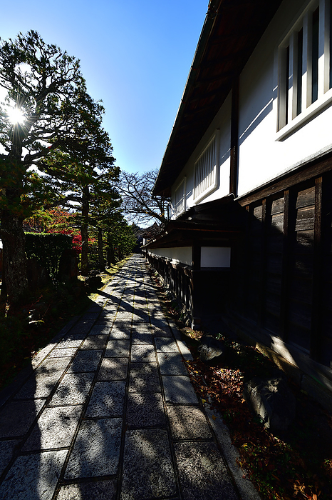 Sororo Walk: Journey to a Sacred Place Koyasan Wakayama Pref. Even as you stroll along the streets, you can feel the  four seasons . The sunlight is a light breeze, and the colors that are easy on the eyes are a gift from the clear weather. This is Koyasan.
