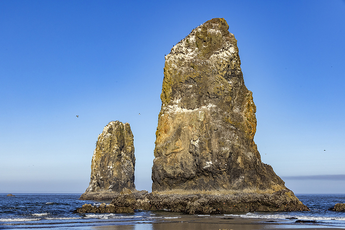 USA, Oregon, Rock formations in ocean at Cannon Beach, USA,Oregon,Cannon Beach, by Steve Smith