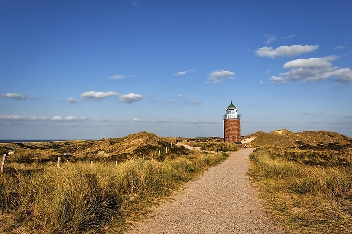 Hiking trail leading to the Red Cliff cross light, dune landscape in the evening light, Kampen, Sylt, Germany, Europe, by Angela to Roxel