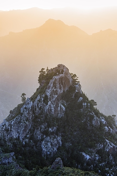 Rock formation in the evening haze, overgrown with pine trees, backlight, Roque de los Pinos, Anaga Mountains nature park Park, La Laguna, Tenerife, Spain, Europe, by Angela to Roxel