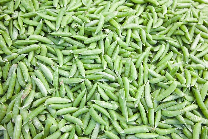 Freshly picked selection of organic green beans on display at the farmers market, by Andy Dean