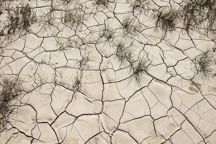 Dried-up lake, drought, aridity, climate change, Bardenas Riales, Navarra, Spain, Europe, by Daniel Schoenen