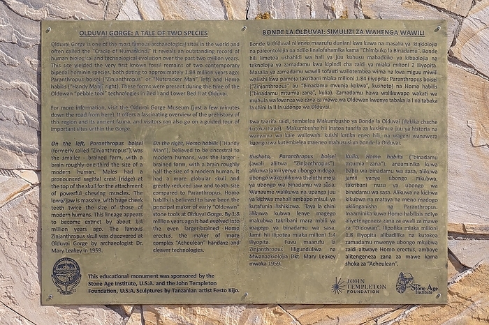 Olduvai Gorge, Cradle of Humankind, writing tablet, Paranthropus, Zinjanthropus, Hornoi Habilis, skulls of two human races, Ngorongoro Conservation Area, Tanzania, Africa, by Erich Schmidt
