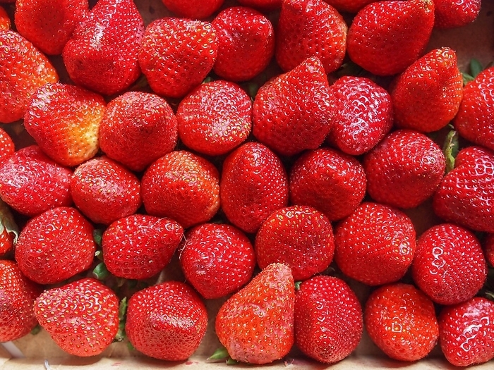 Strawberry (fragaria) fruit aka garden strawberry or in a fruit crate, by Claudio Divizia