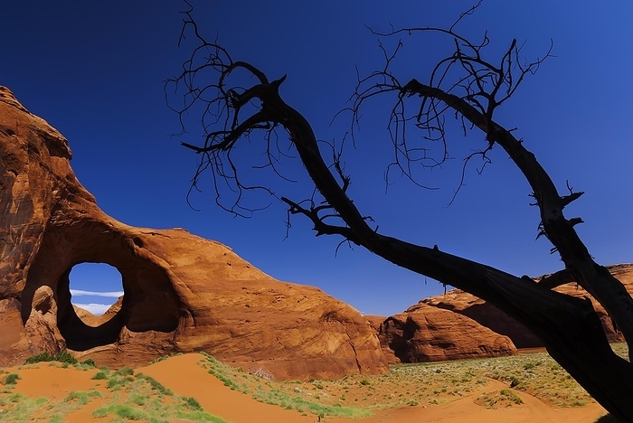 The ear of the wind, natural wonder, in Monument Valley, Utah, USA, North America, by Franzel Drepper