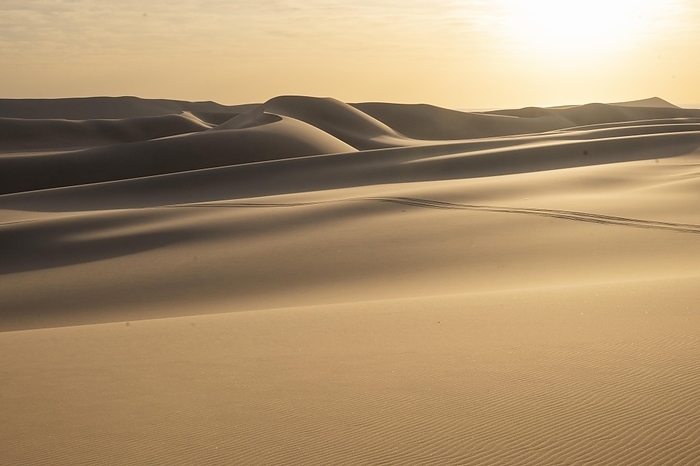 Dorob Dunes National Park, Namib Desert, Swakopmund, Namibia, Africa, by Günter Lenz