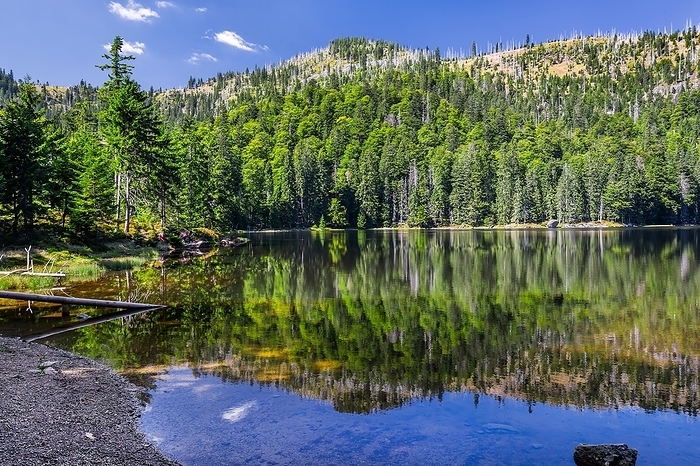 Rachelsee, a cirque lake in the Bavarian Forest National Park, Sankt Oswald-Riedlhütte, Bavarian Forest, Lower Bavaria, Bavaria, Germany, Europe, by Günter Gräfenhain