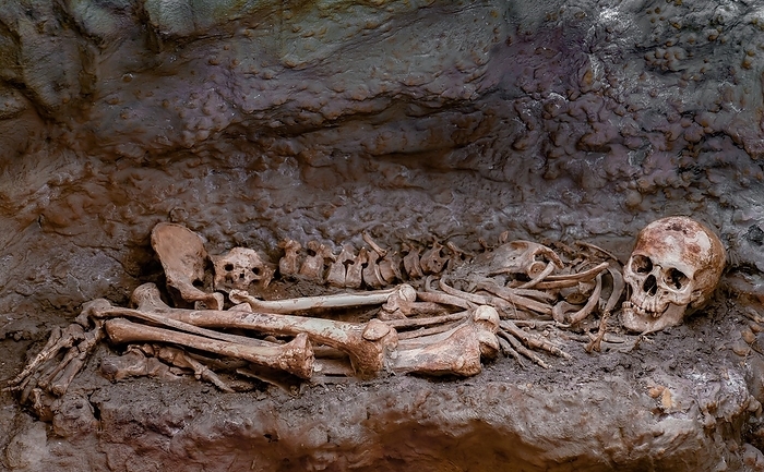 Ronda, malaga, spain Human remains found in a cave, skeleton, bones, skull, by jose hernandez antona