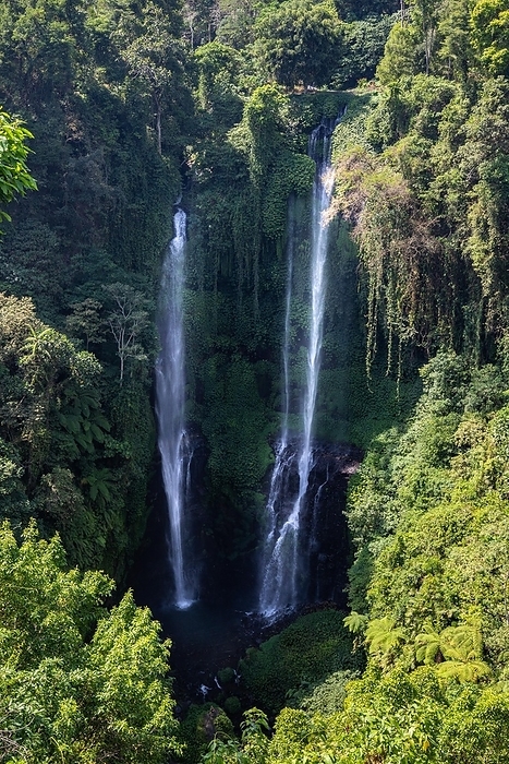 The Sekumpul waterfall, a large waterfall in the middle of the jungle that plunges into a deep green gorge. Trees and tropical plants at Bali's highest waterfall, by Jan Wehnert