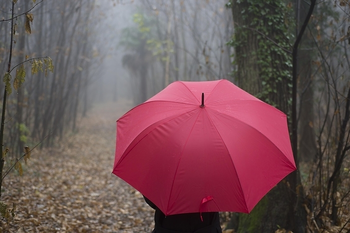 Woman walking in the forest with a red umbrella, by Mats Silvan
