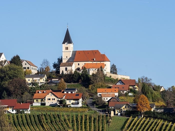 Vineyards, on a hill the church of St. Anna am Aigen, south-east Styrian hill country, St. Anna am Aigen, Styria, Austria, Europe, by Karl-Heinz Schein