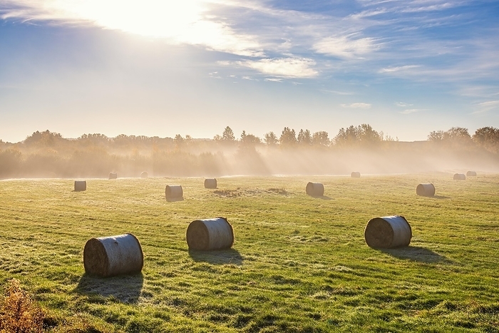 Hay bales on a field with autumn fog and sunshine in the countryside, by Lars Johansson