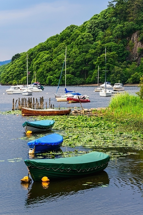 Boats in Balmaha, Loch Lamond, Scotland, UK, by Maciej Olszewski
