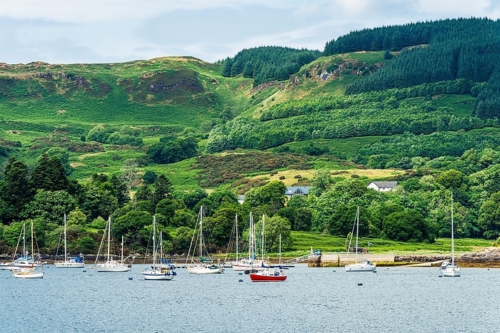 Boats in Ardentallan Bay, Loch Feochan, Oban, Argyll and Bute, Scotland, UK, by Maciej Olszewski