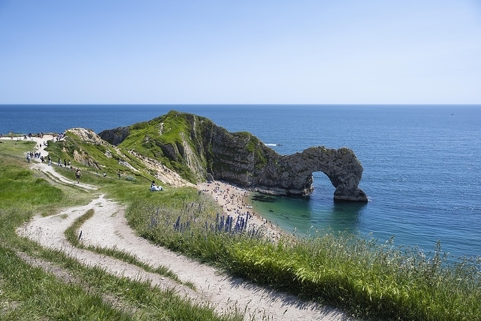 Walk along the chalk coast with the famous rock bridge Durdledoor, West Lulworth, Dorset, England Great Britain, by Markus Keller
