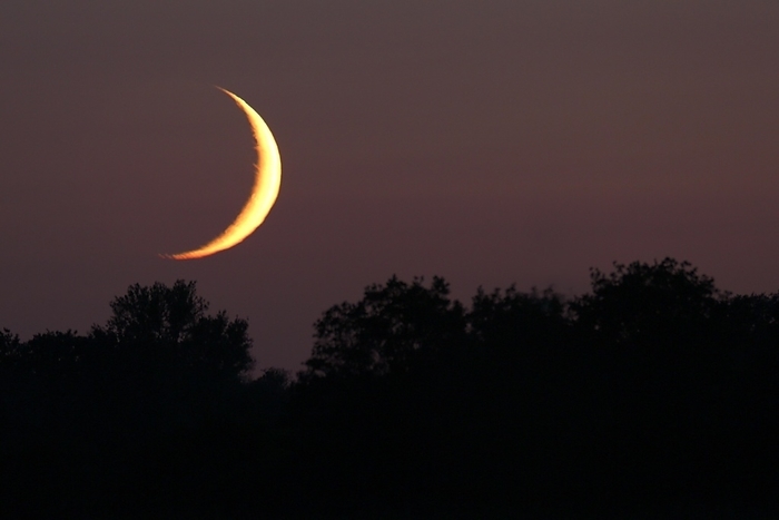 Crescent moon, waxing moon, Middle Elbe Biosphere Reserve, Saxony-Anhalt, Germany, Europe, by Volker Lautenbach
