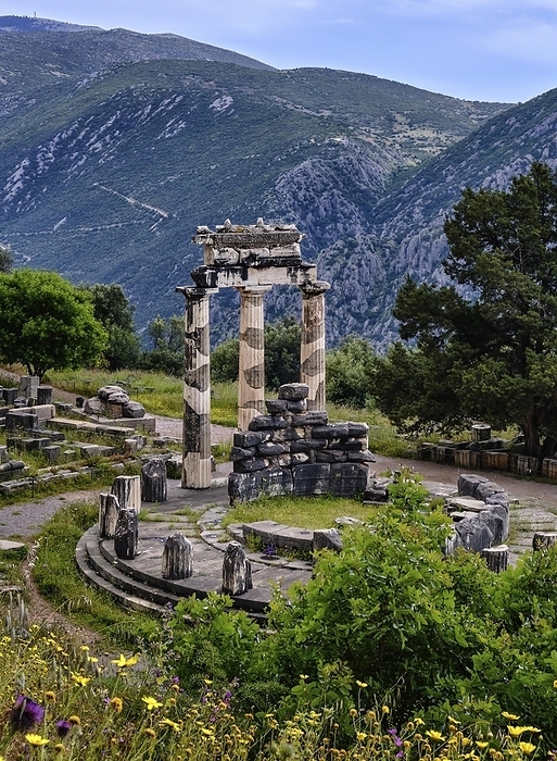 Ruins of Tholos of ancient Greek goddess Athena Pronaia in Delphi, Greece. Three Doric columns with relieves on frieze of circular temple on slope of sacred mount Parnassos, famous Delphi complex. UNESCO World heritage site. Close vertical downshot, by Natallia Pershaj