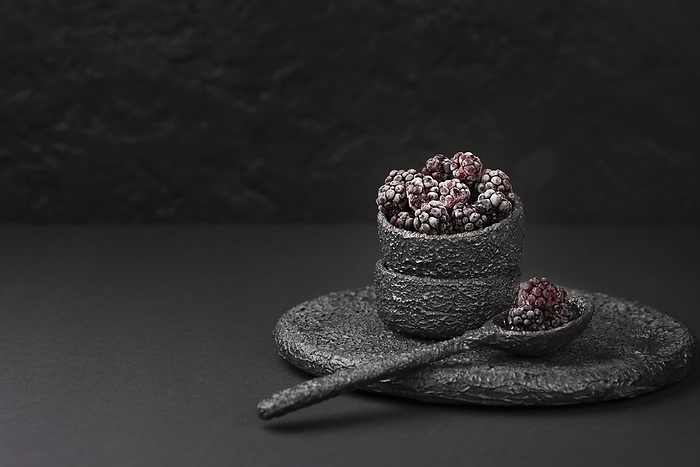 Front view bowl with frozen blackberries copy space, by Oleksandr Latkun