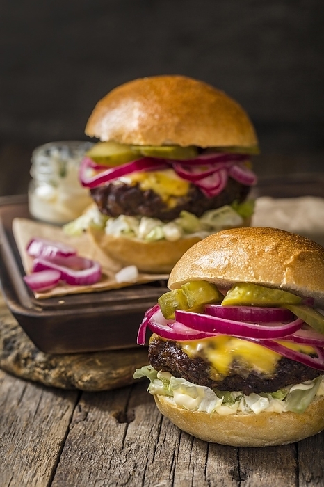 Front view burgers with pickles, by Oleksandr Latkun