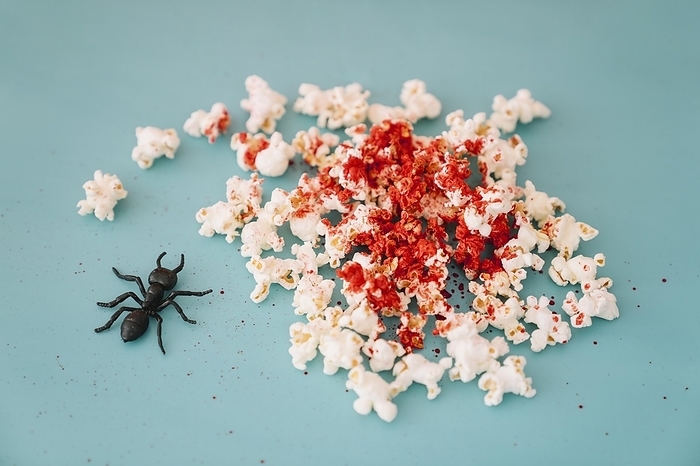 Halloween concept with bloody popcorn, by Oleksandr Latkun