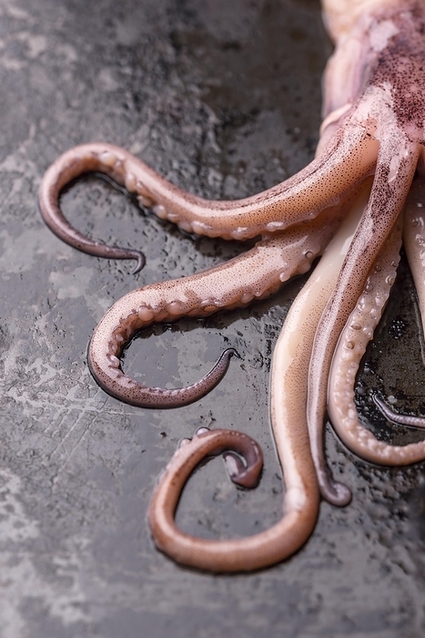 Close up exotic octopus seafood dish, by Oleksandr Latkun