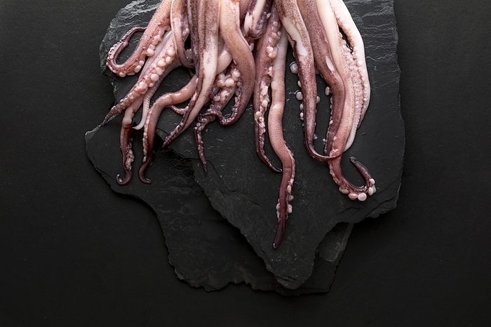 Top view squid slate, by Oleksandr Latkun