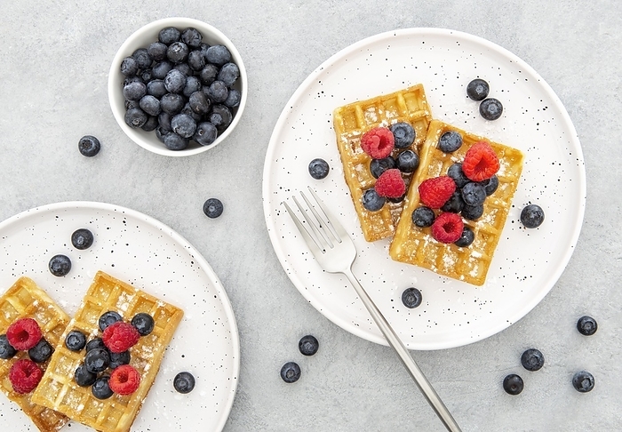 Top view waffle with berries, by Oleksandr Latkun