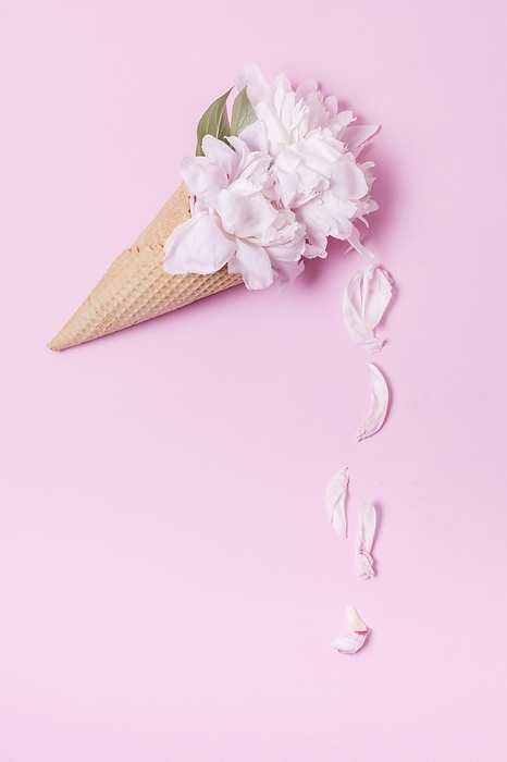 Abstract floral ice cream cone with petals, by Oleksandr Latkun