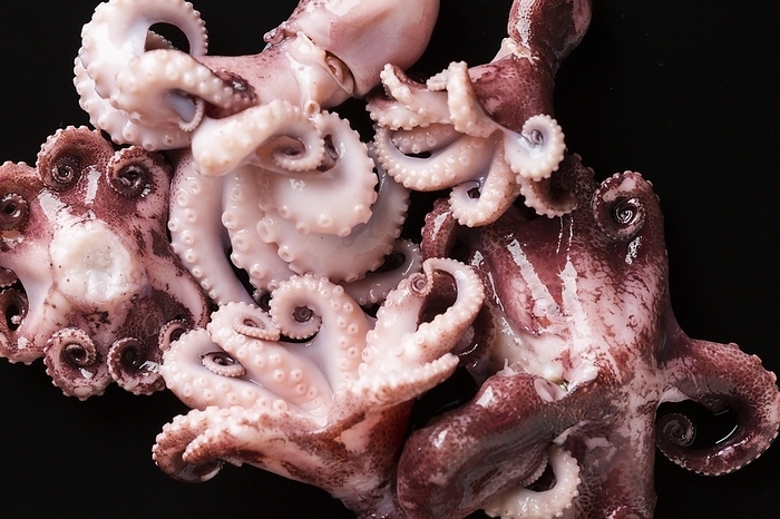 Close up delicious octopus table, by Oleksandr Latkun