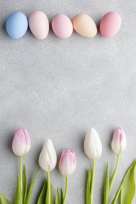 Flat lay colorful easter eggs stunning tulips, by Oleksandr Latkun