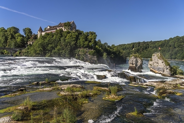 Rhine Falls and Laufen Castle near Neuhausen am Rheinfall, Switzerland, Europe, by Peter Schickert