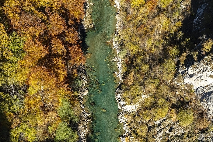 Tara River and Gorge in Autumn, Pljevlja, Montenegro, Europe, by Peter Schickert