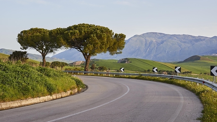 Road, curve, crash barriers, trees, mountains, Madonie National Park, spring, Sicily, Italy, Europe, by Ralf Adler